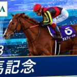 【ウマ娘】オルフェトレーナー、ぶん投げられはしなかったけど玉座にされるｗｗｗあの阪神大賞典もやっぱりある！