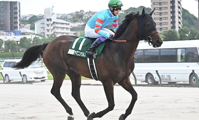 【競馬】ヤマニンウルスが2/23の小倉大賞典へ！藤懸騎手とのコンビで初芝レース！