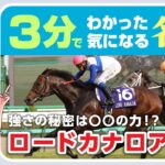 【競馬】またカレンチャン大好きがバラされる龍王
