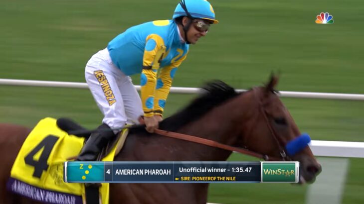 【競馬】馬名を登録する時に綴りを間違えられた馬　アメリカンファラオ