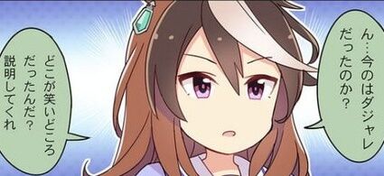 【ウマ娘】カイチョーはシチュが浮かばないんだよね
