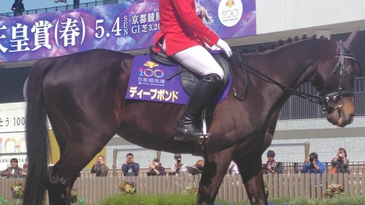 【競馬】ディープボンドが京都競馬場で誘導馬デビュー！