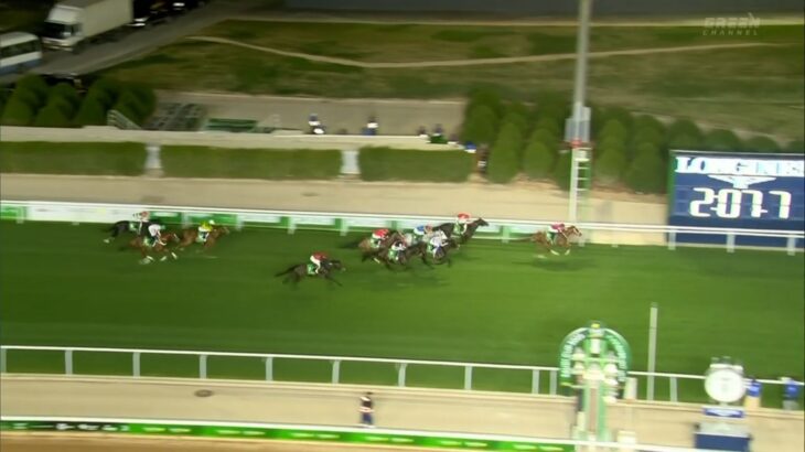 【競馬】シンエンペラー、秋2戦してジャパンカップ参戦のプラン