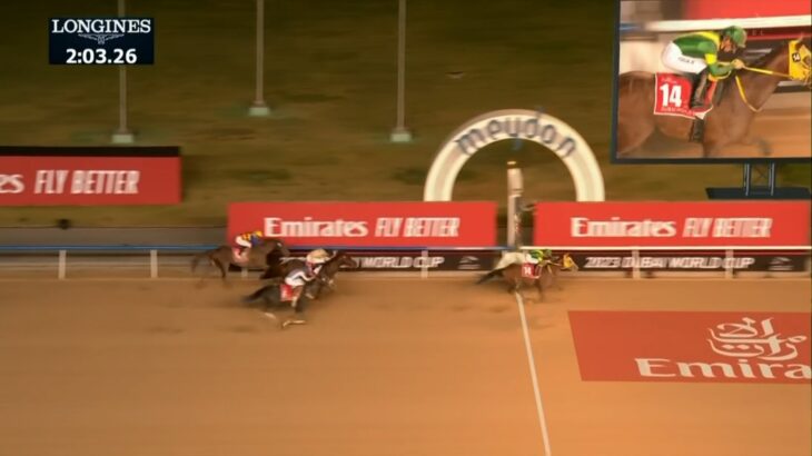 【競馬】ウシュバテソーロが競走馬登録抹消　今後は種牡馬へ