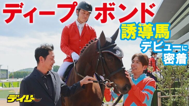 【小ネタ・画像】執事眼鏡コラボ　賢さLv5 モデル 一般販売開始！　他ウマ娘・競馬小ネタまとめ