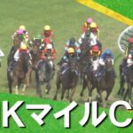 NHKマイルカップを制したのはパンジャタワー！3連単は150万の大荒れ！【ウマ娘民の反応】