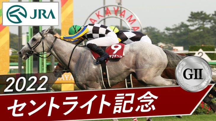 【競馬】光り輝くガイアフォース　神々しい…