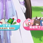 【レジェンズ】スキポ6000とかいったことないや
