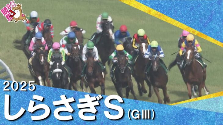 第1回しらさぎSを制したのはキープカルム！2冠牝馬チェルヴィニアは2着【ウマ娘民の反応】