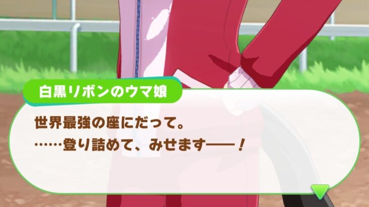 【ウマ娘】ウマ娘世界のレーティングってどうなってるんだろう