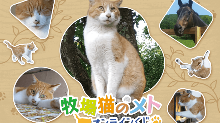 ノーザンレイクの牧場猫 メトのオンラインくじが発売決定！
