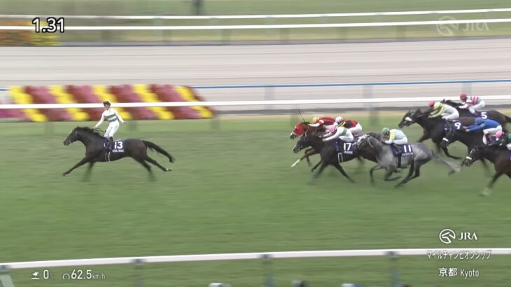 【競馬】ソウルラッシュが左第4中手骨を骨折で3か月以上の休養を要する見込み