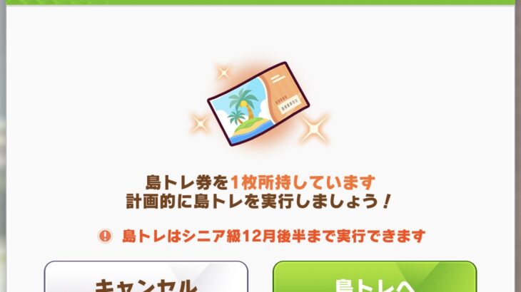 【無人島】「計画的に島トレを実行しましょう！」 ⇐ これ