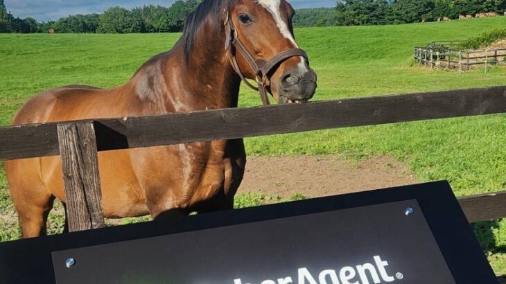 【競馬】サイバーエージェントがヴェルサイユリゾートファームの厩舎スポンサーに！